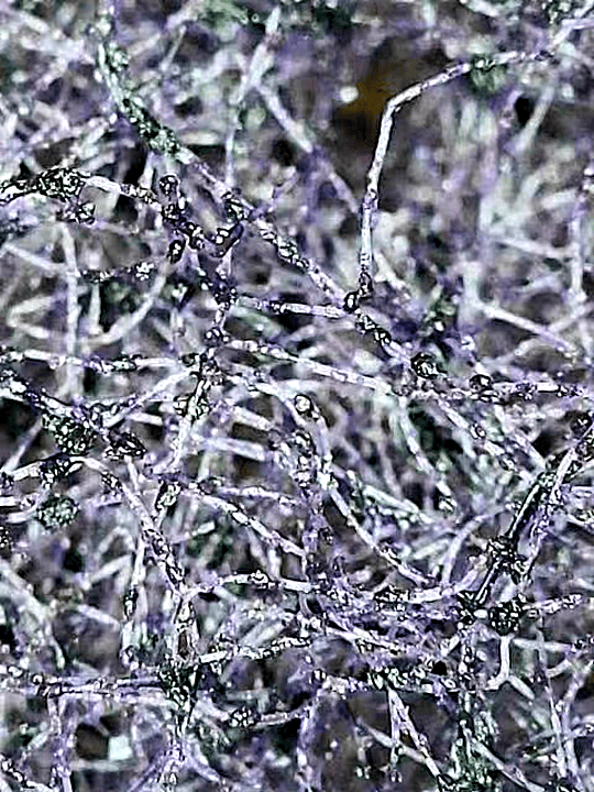 CÔNG TY TNHH THIẾT BỊ CÔNG NGHIỆP KND